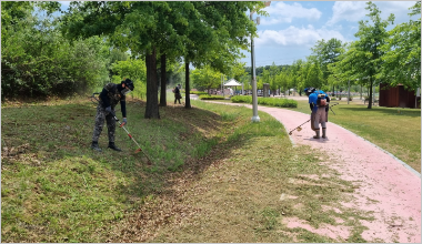 도라산 평화공원 외곽 예초공사