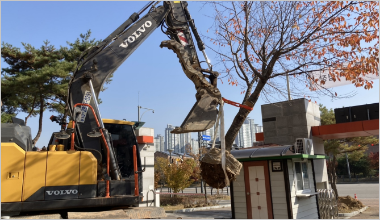 운정고 교내 조경식재공사